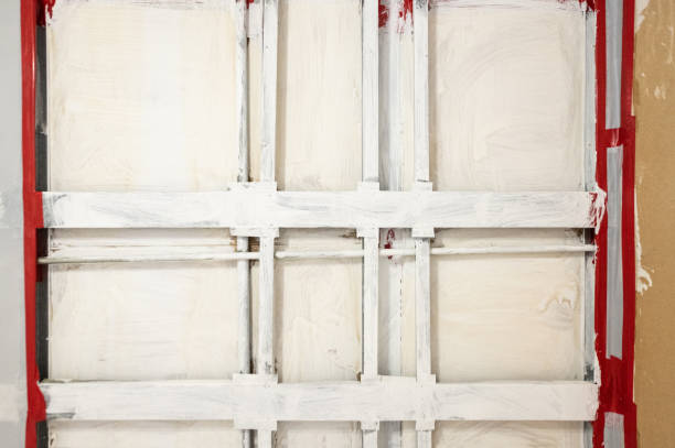 Best Forensic Mold Investigation  in Holloman Af, NM